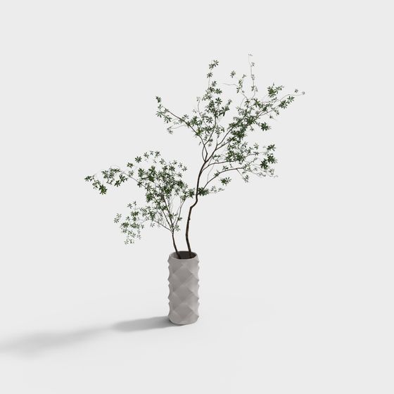 Indoor Plant 3D Model for Design and Gaming