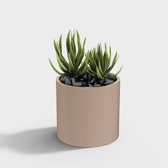 Desert Oasis 3D model for Contemporary Interiors