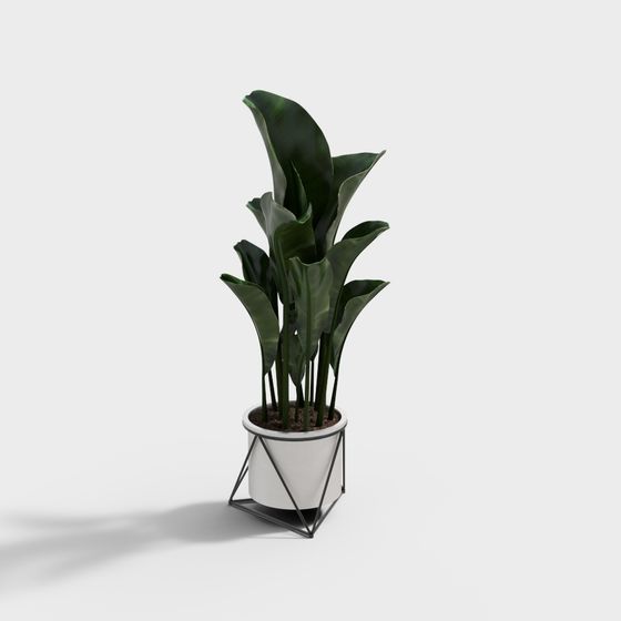 Urban Oasis 3D Model for Modern Interiors