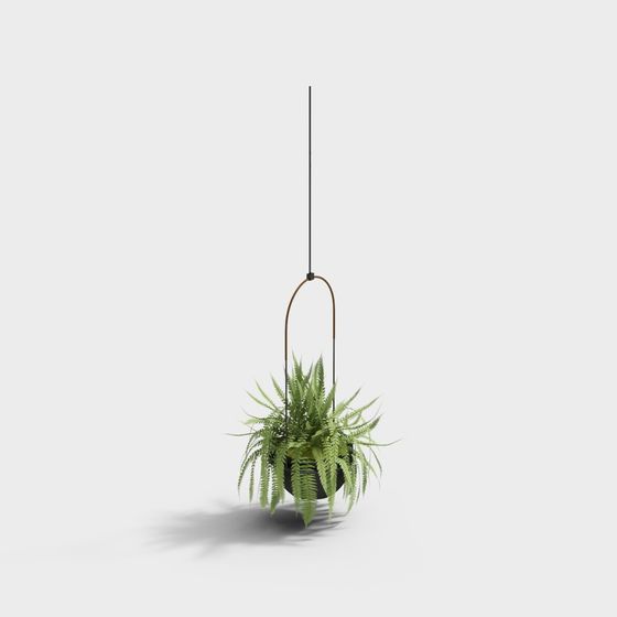 Modern Plants,Plants,Black