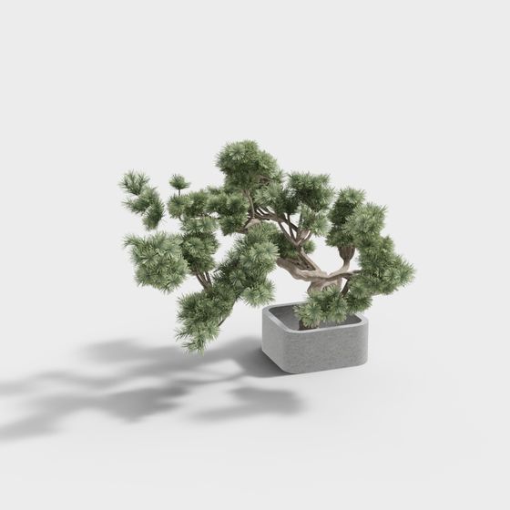 Miniature Pine Tree 3D model for Creative Projects