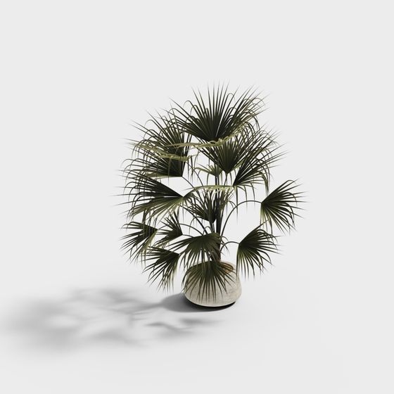 Realistic Palm Plant 3D model for Modern Interiors