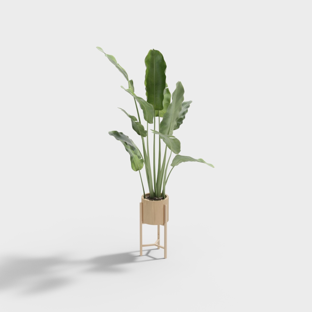 Tropical Plant Stand 3D Model for Creative Spaces