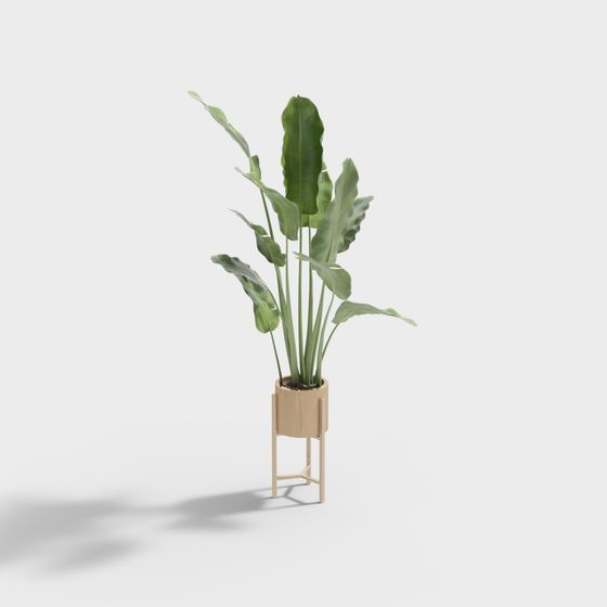 Tall green leafy plant in light wood planter stand on grey background