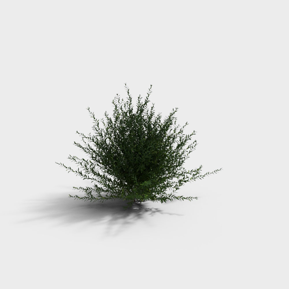 Low-Poly High-Detail Bush 3D Model