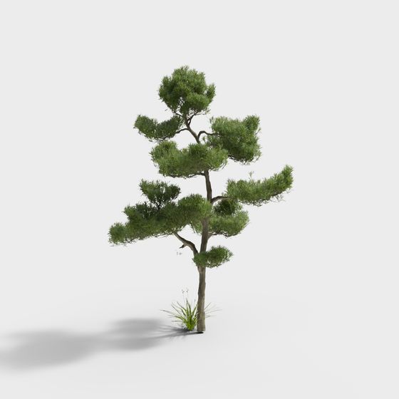 Realistic Low-Polygon Pine Tree 3D Model