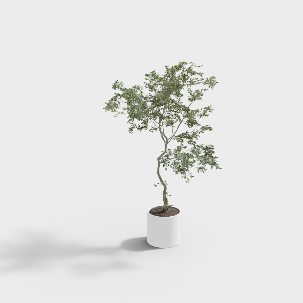 Natural style B&B living room and dining room-green plants