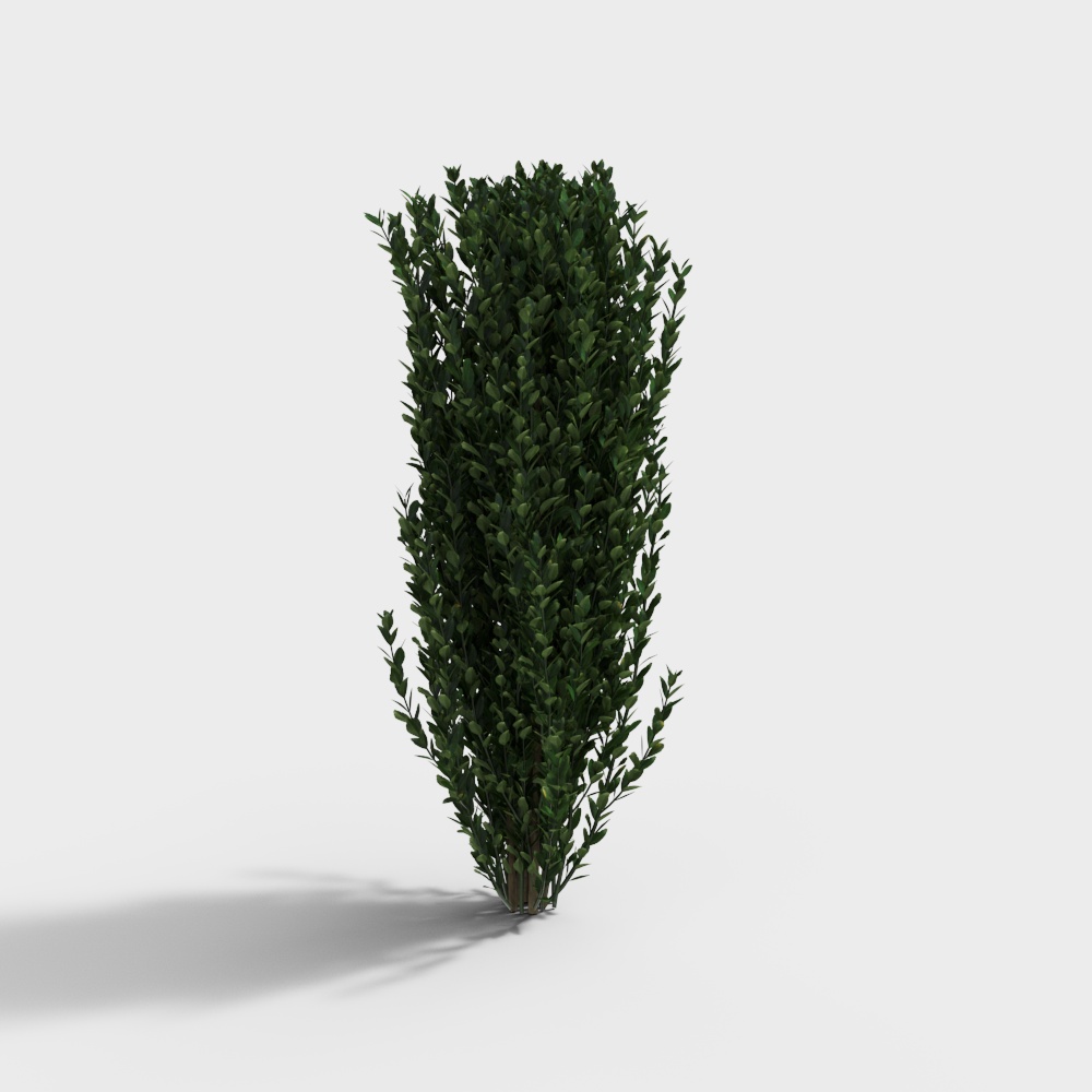 Modern green shrubs - shrubs