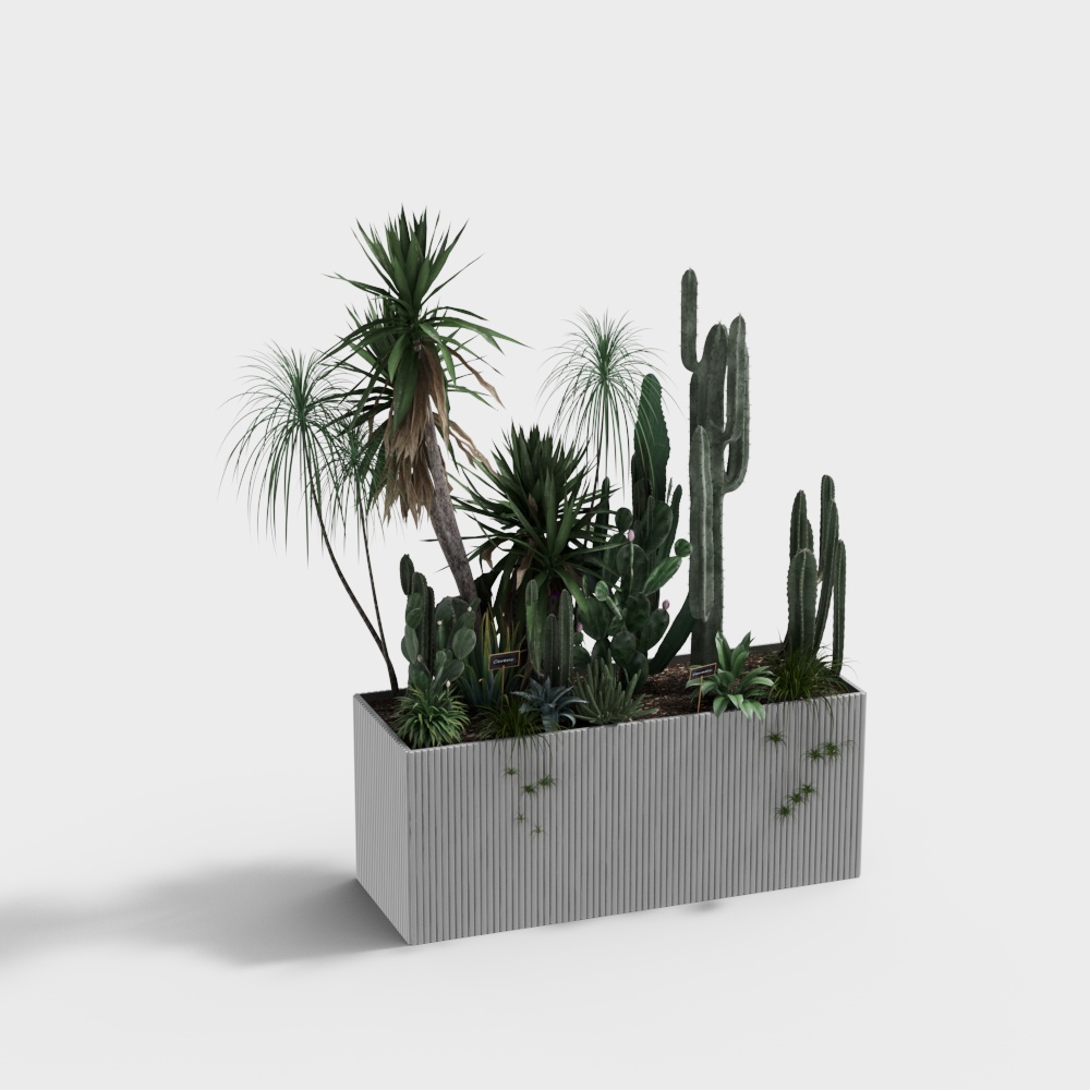 Lush Desert Garden 3D Model – Tropical Plants & Cacti