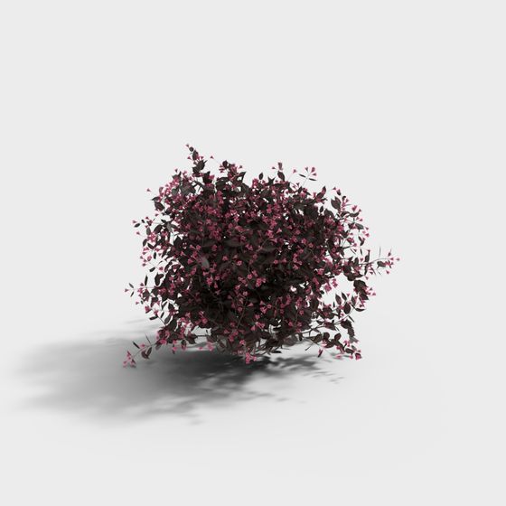 Vibrant Purple-leaf Berberis 3D model