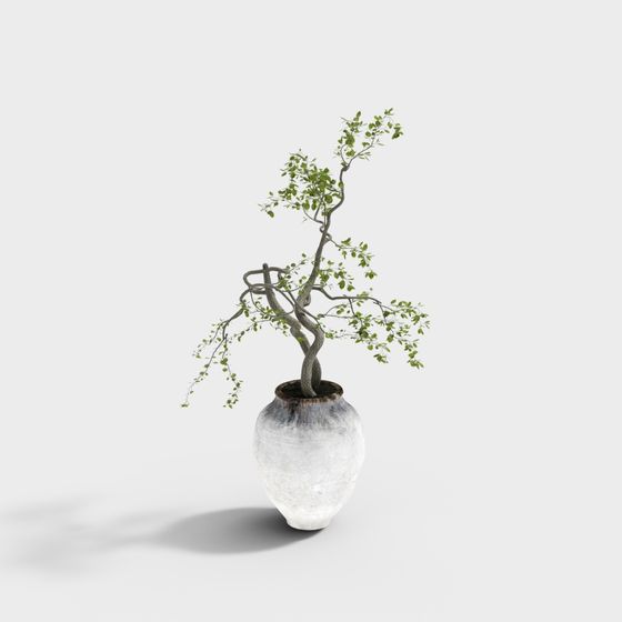 侘寂陶器緑植物