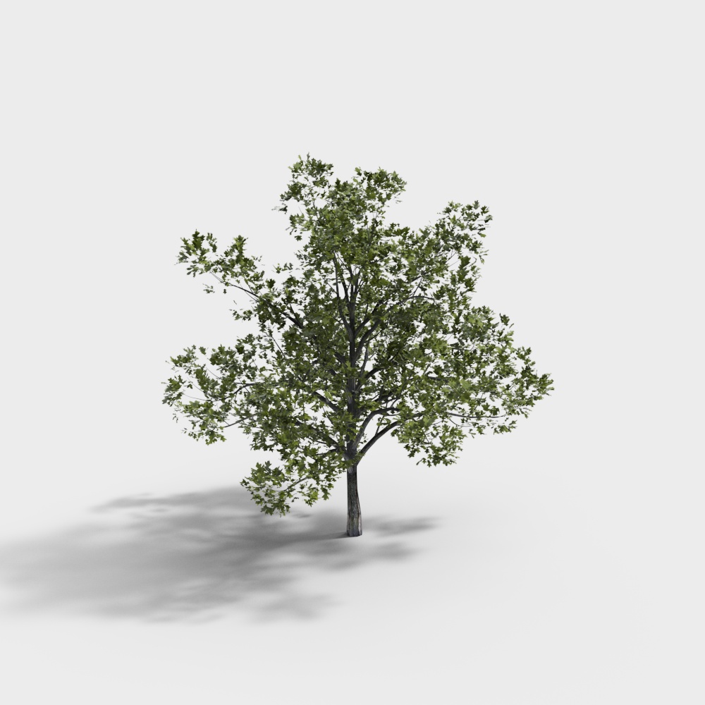 modern green landscape trees