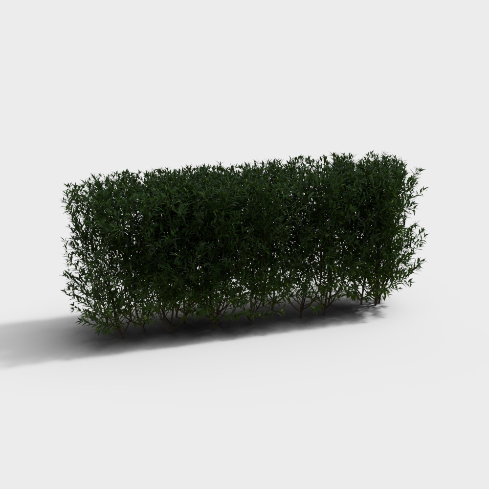 Realistic Hedge 3D Model for Designers
