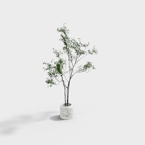 Modern Greenery 3D Model for Interior Spaces