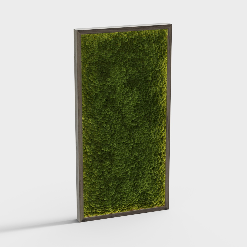 Giardino verticale Plantscapers