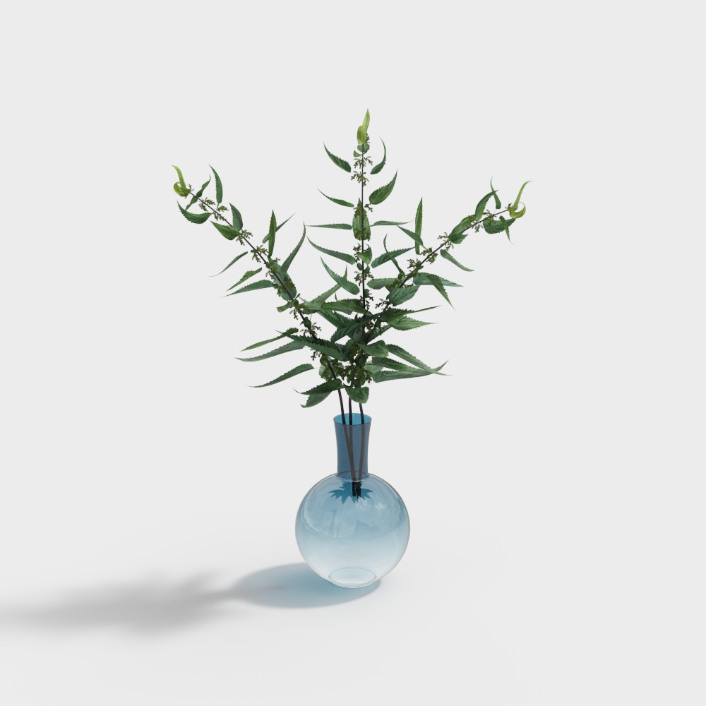 cây thủy sinh sinh nhật