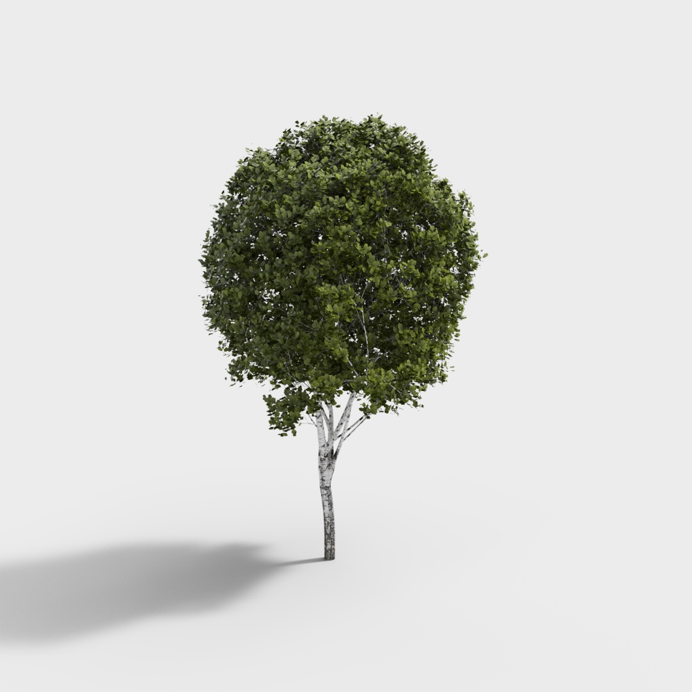 árboles de paisaje verde moderno