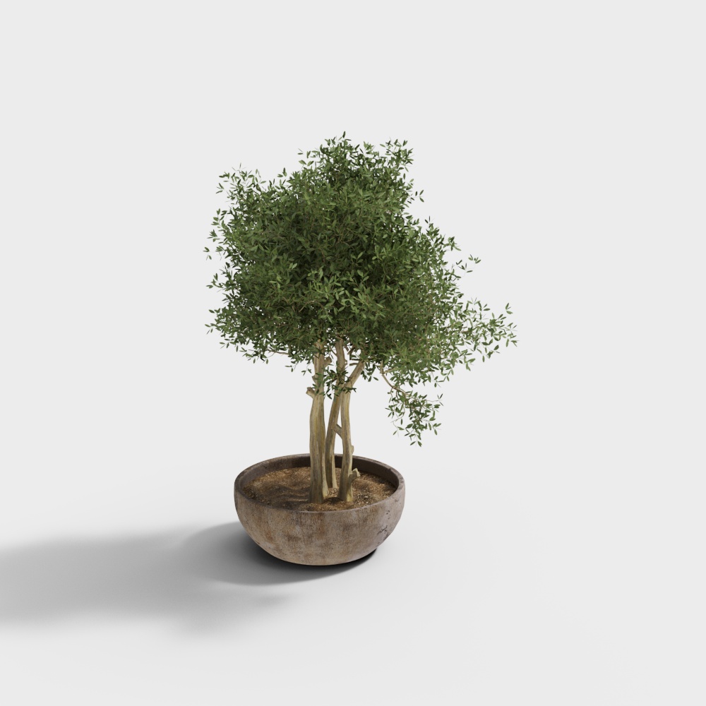 Green plant potted ornaments are short