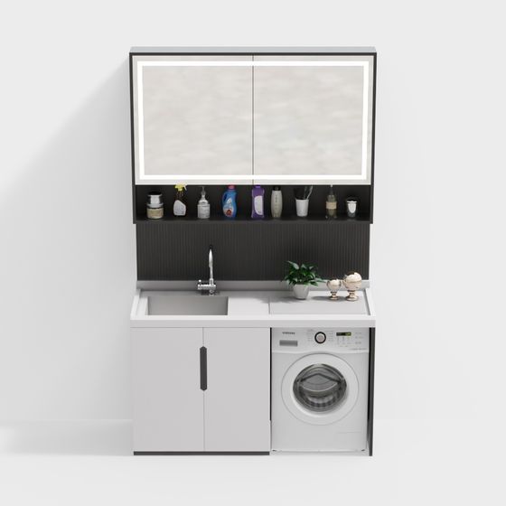 Laundry Hub 3D model for Contemporary Spaces