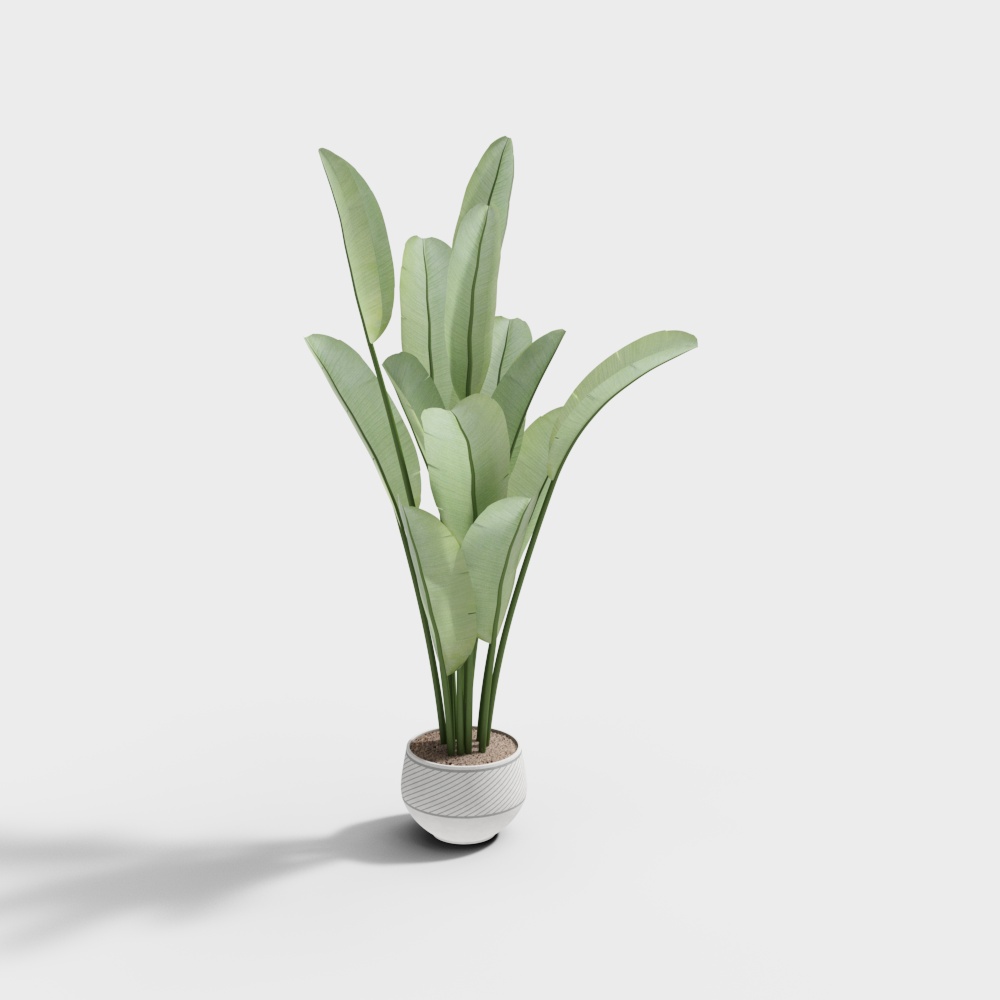 ต้นไม้ในร่ม