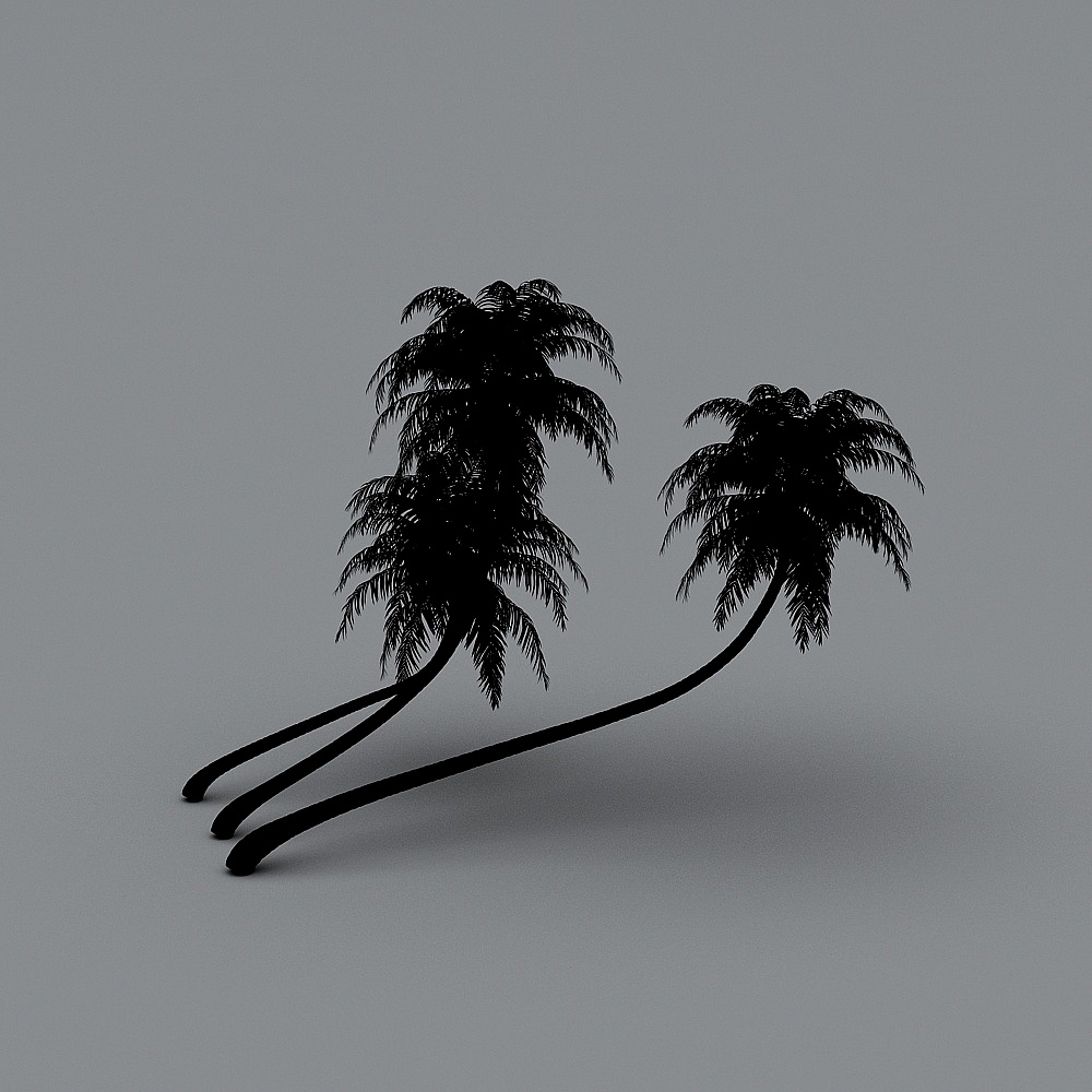 palmera4