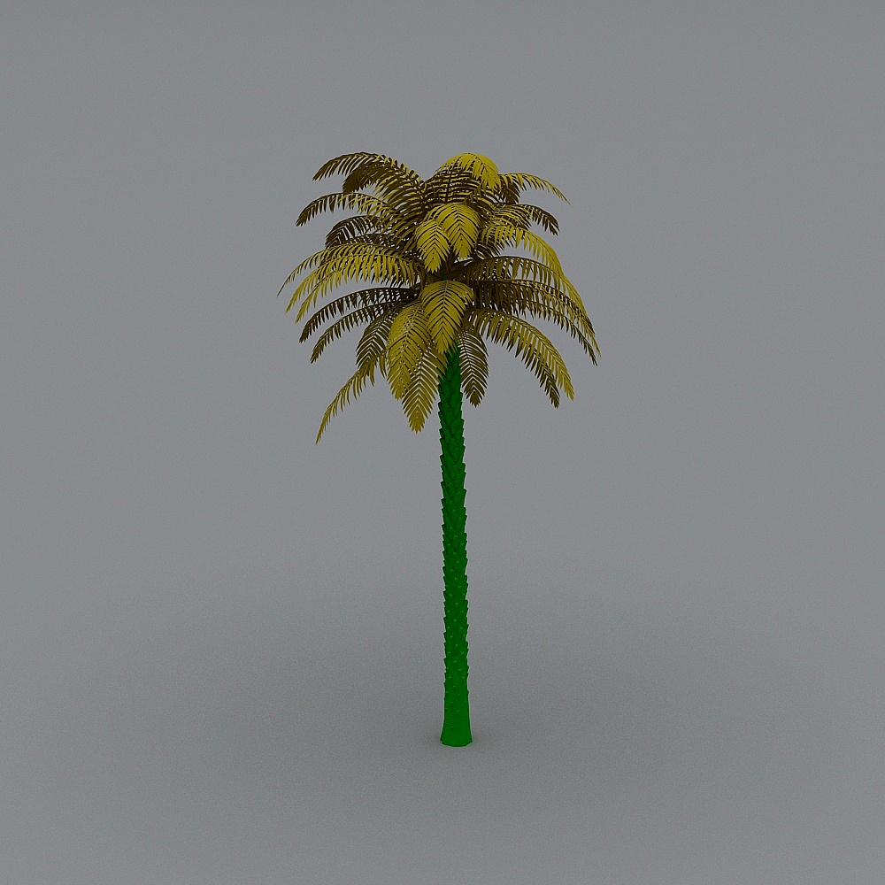 Palmera2
