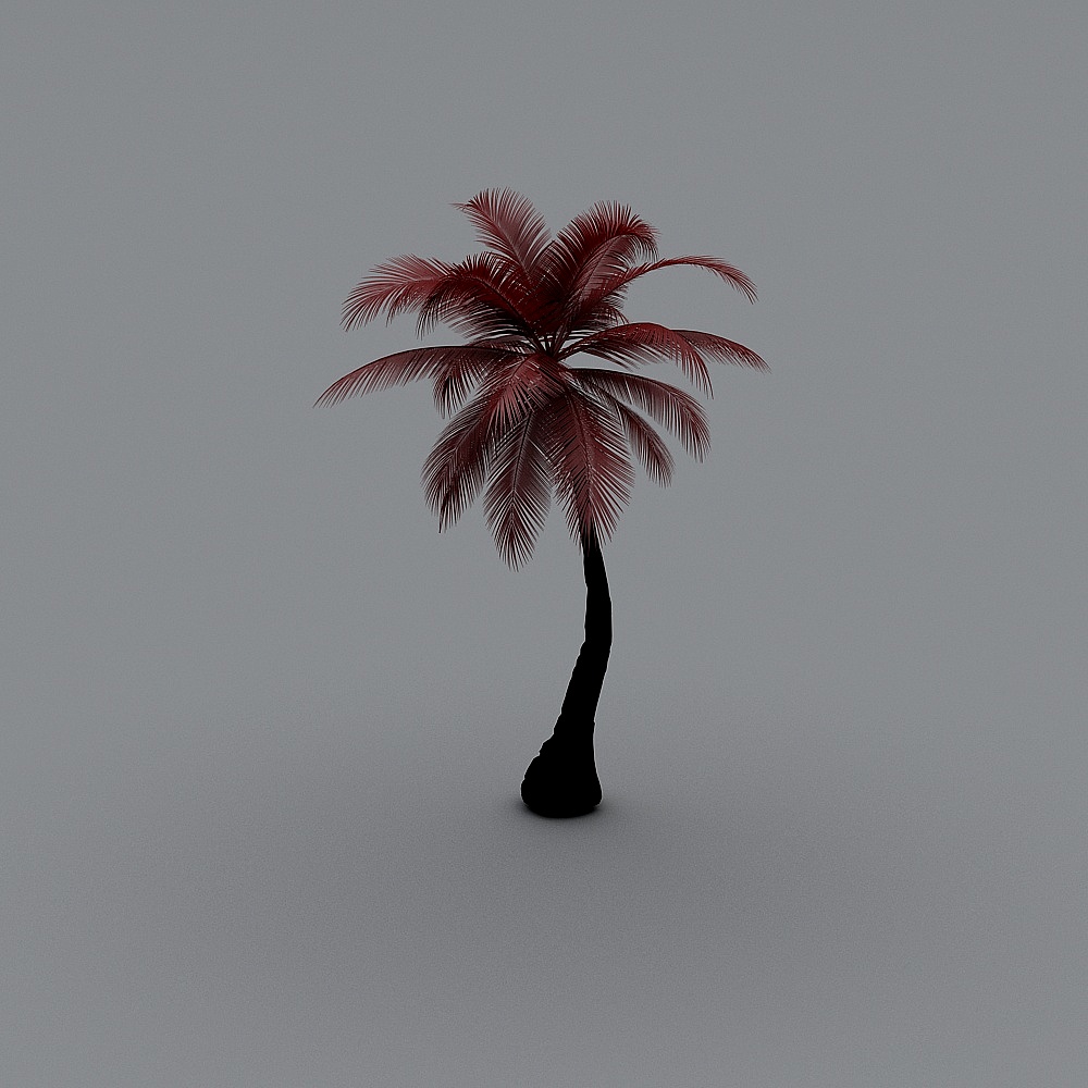 Palmera3