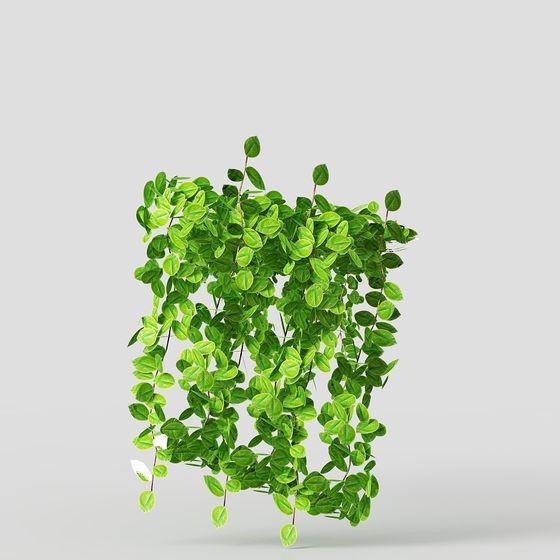 Realistic Hanging Plant 3D Model