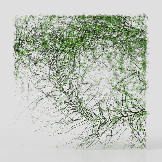 Parete per Piante Rampicanti