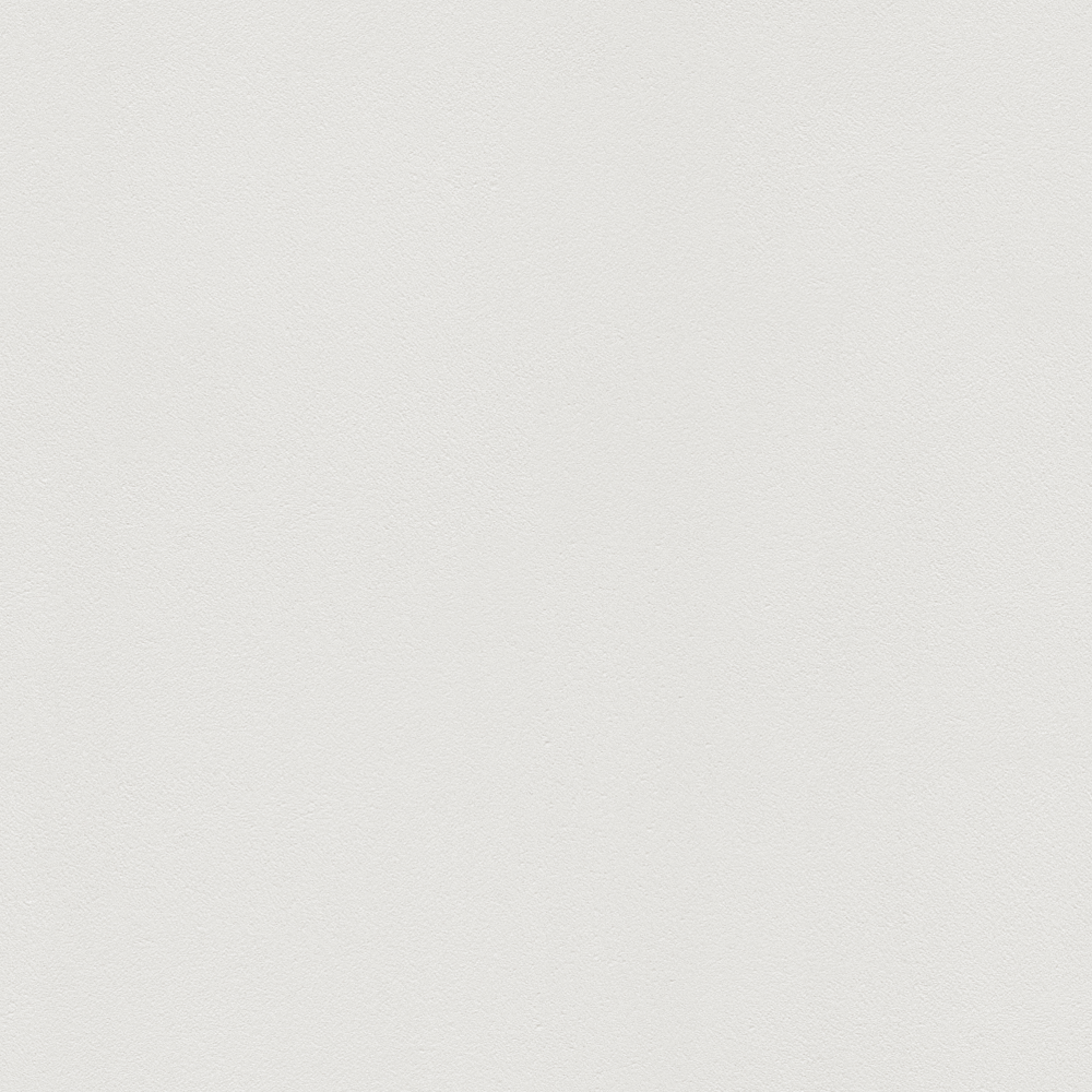 Wall paints/coatings