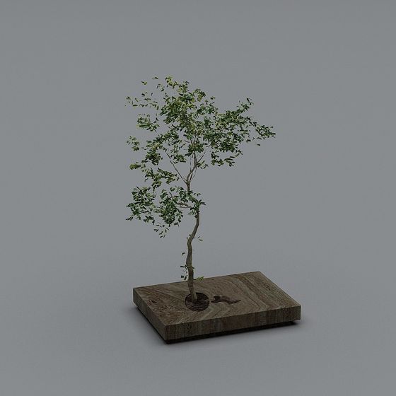 Vibrant Mini Oasis 3D model