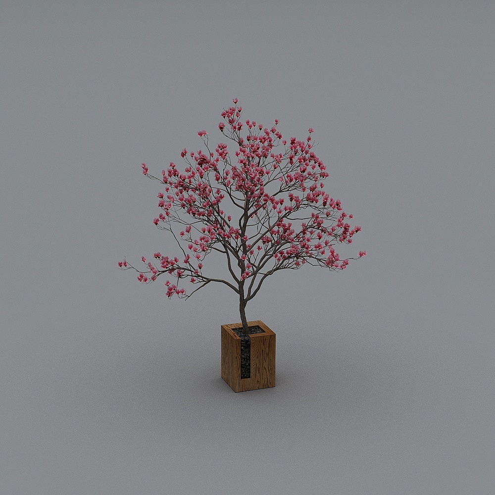 Plantes en pot d'intérieur, salle à manger privée pastorale japonaise