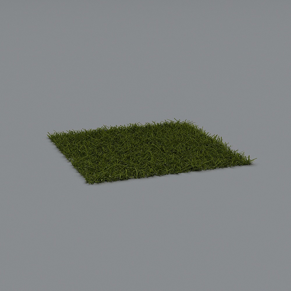 Grass