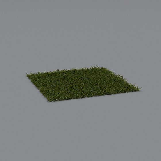 Realistic Grass Ground 3D Model