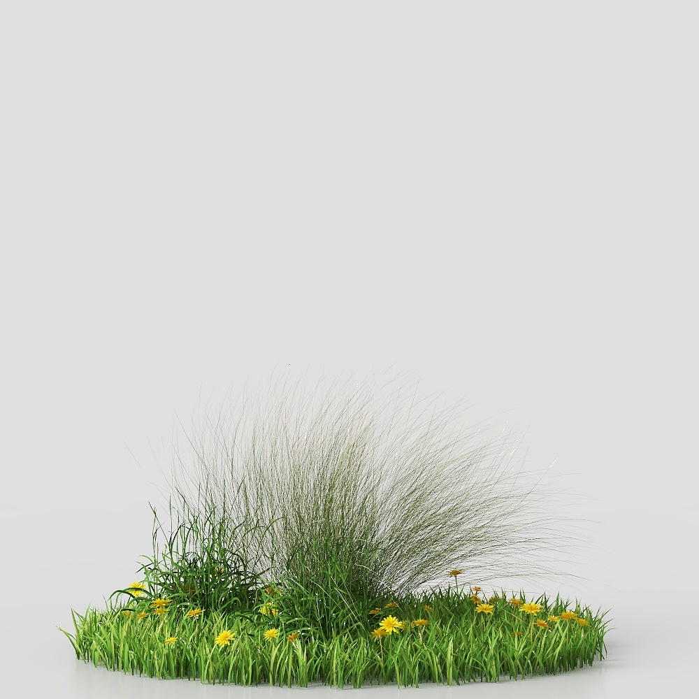3D ground cover plant 4