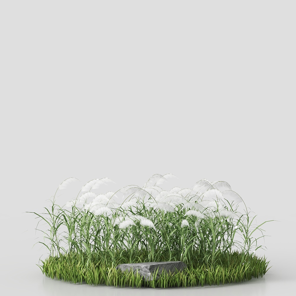 3D ground cover plant 1
