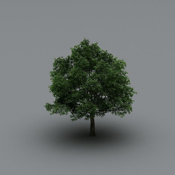 Realistic Oak Tree 3D Model for Creative Projects