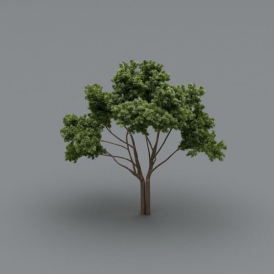 Realistic Low-Poly 3D Tree Model