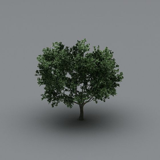 Vibrant 3D Tree Model with Low-Polygon Design