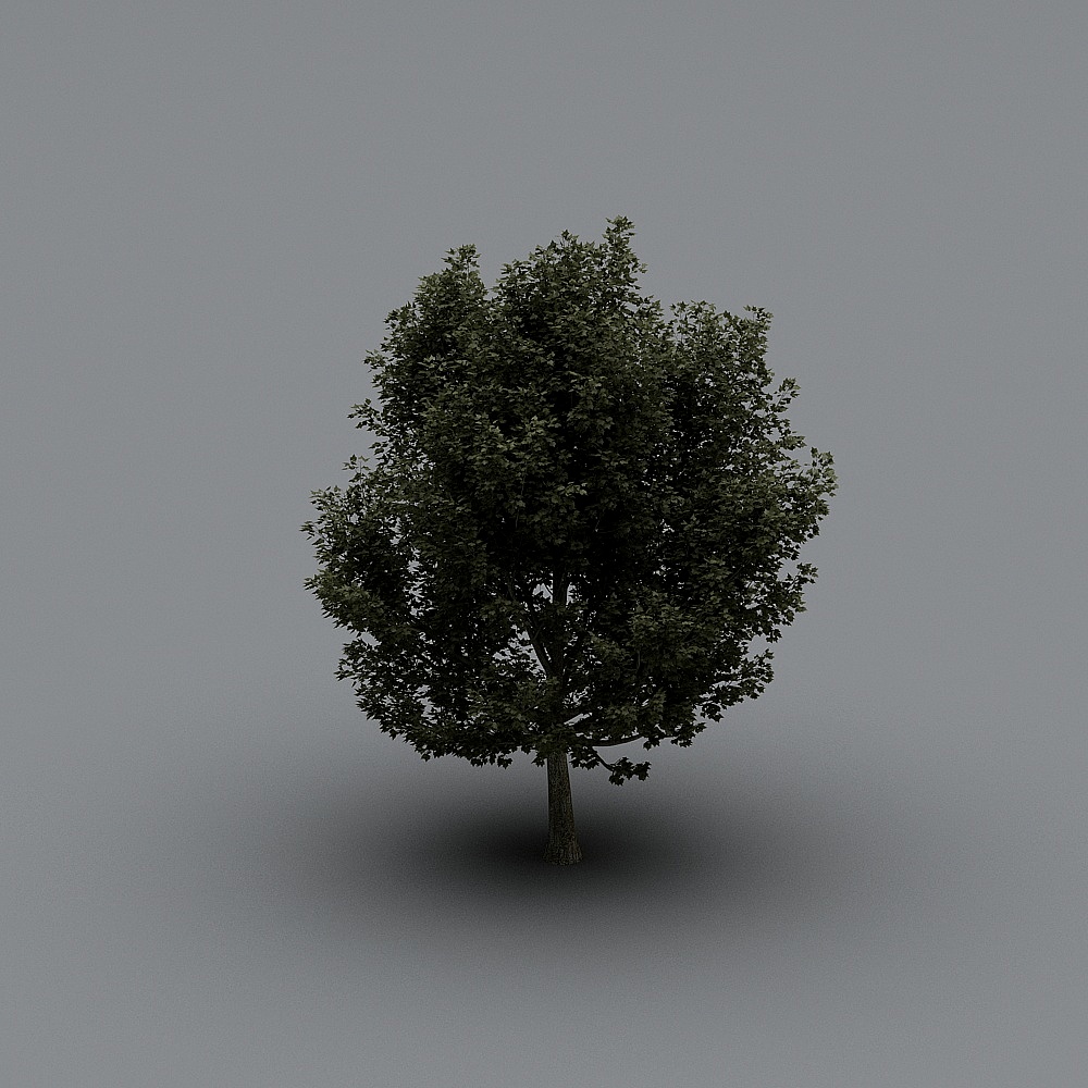 Lush Green Oak Tree 3D model