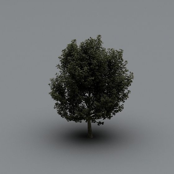 Lush Green Oak Tree 3D model