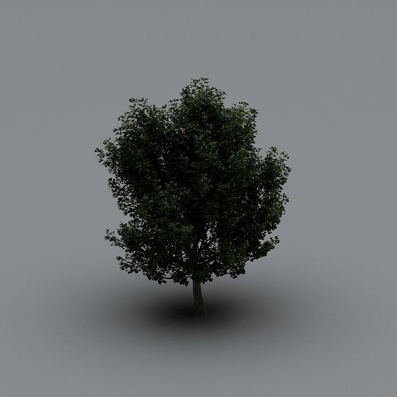 Vibrant 3D Tree Model for Creative Projects