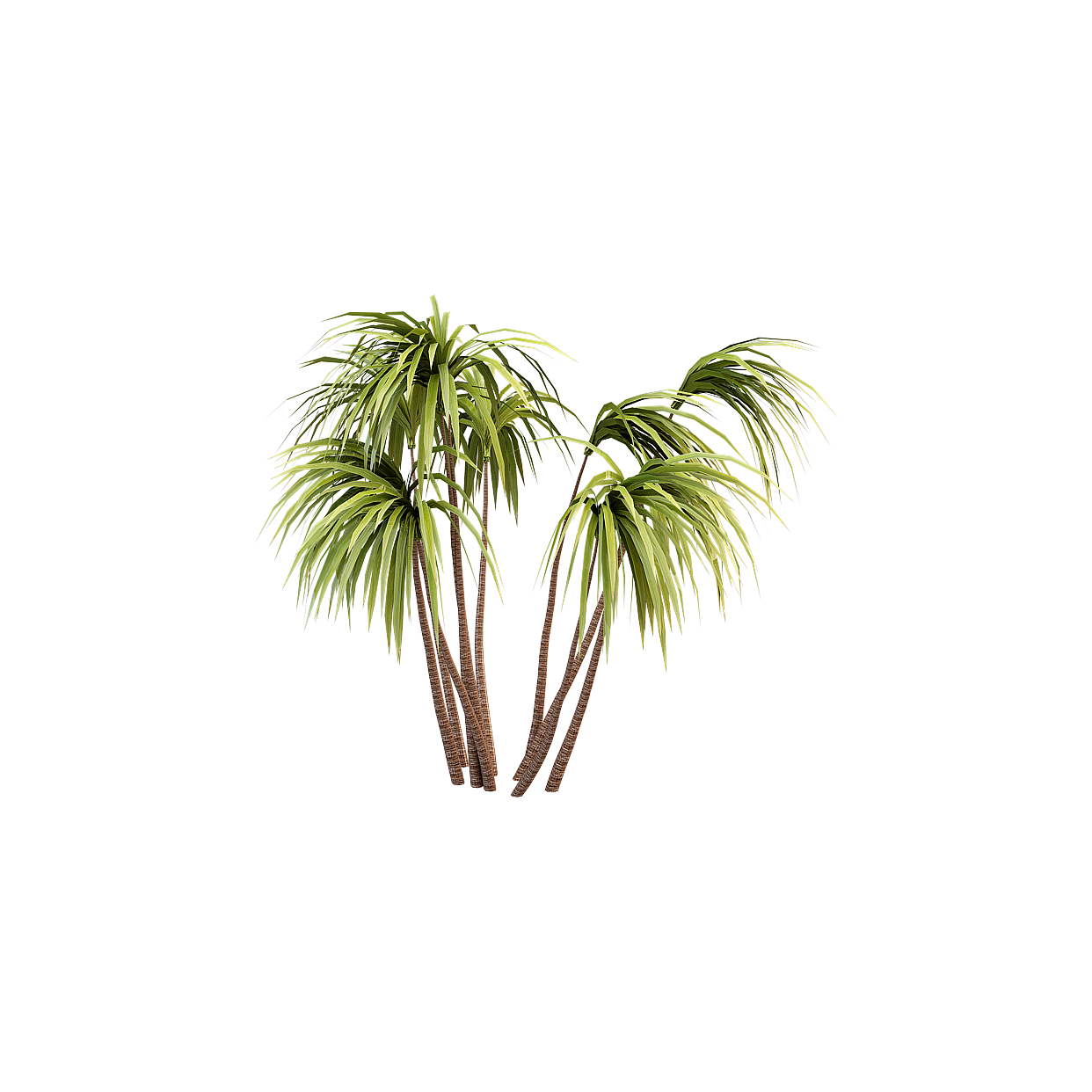 Lush Palm Tree Cluster 3D Model – Low-Poly Tropical Plant