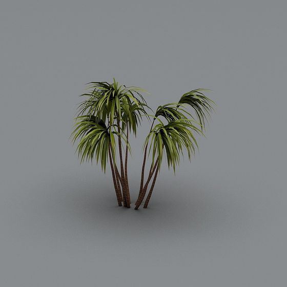 Lush Palm Tree Cluster 3D model