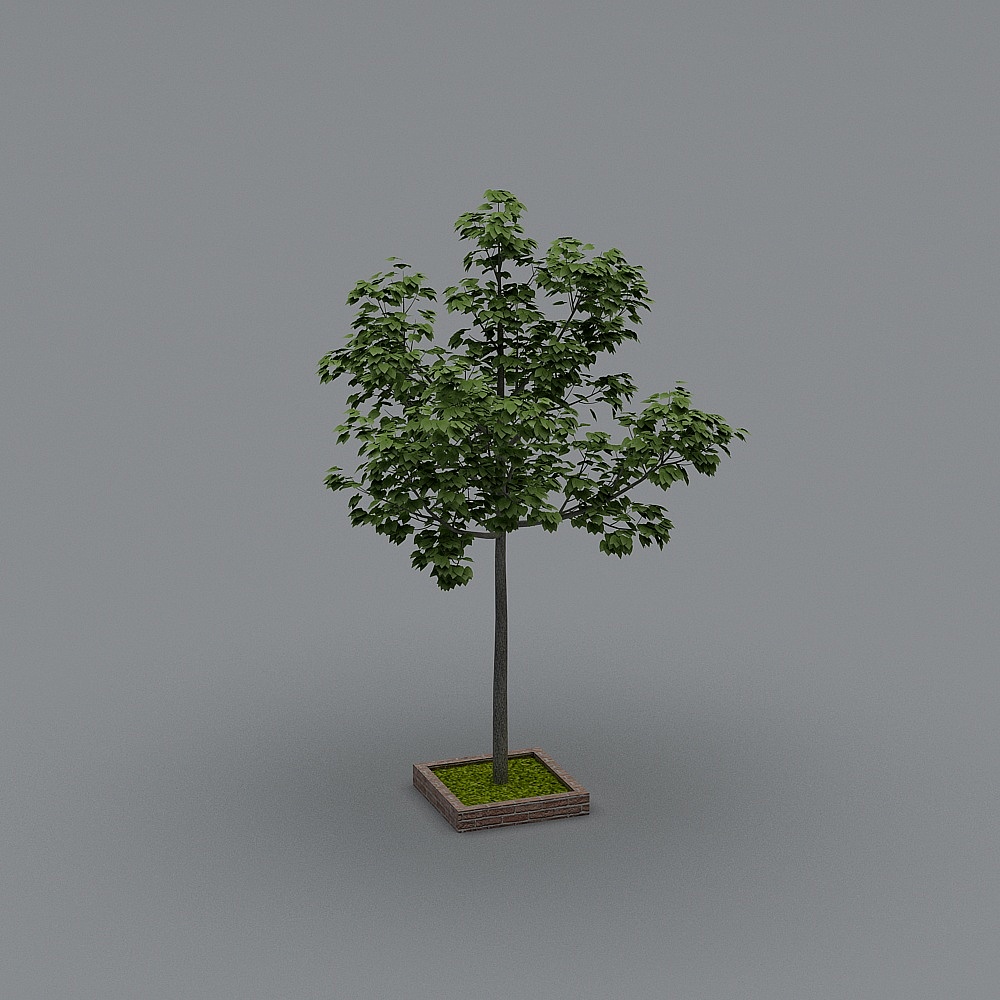 ทิวทัศน์ลานบ้านสมัยใหม่ - พืชสีเขียว