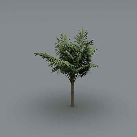 Plante d'extérieur 001-XS