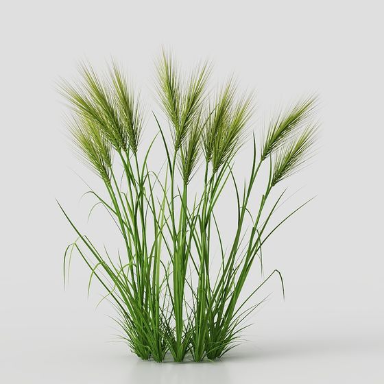 Lush Grass Plant 3D model