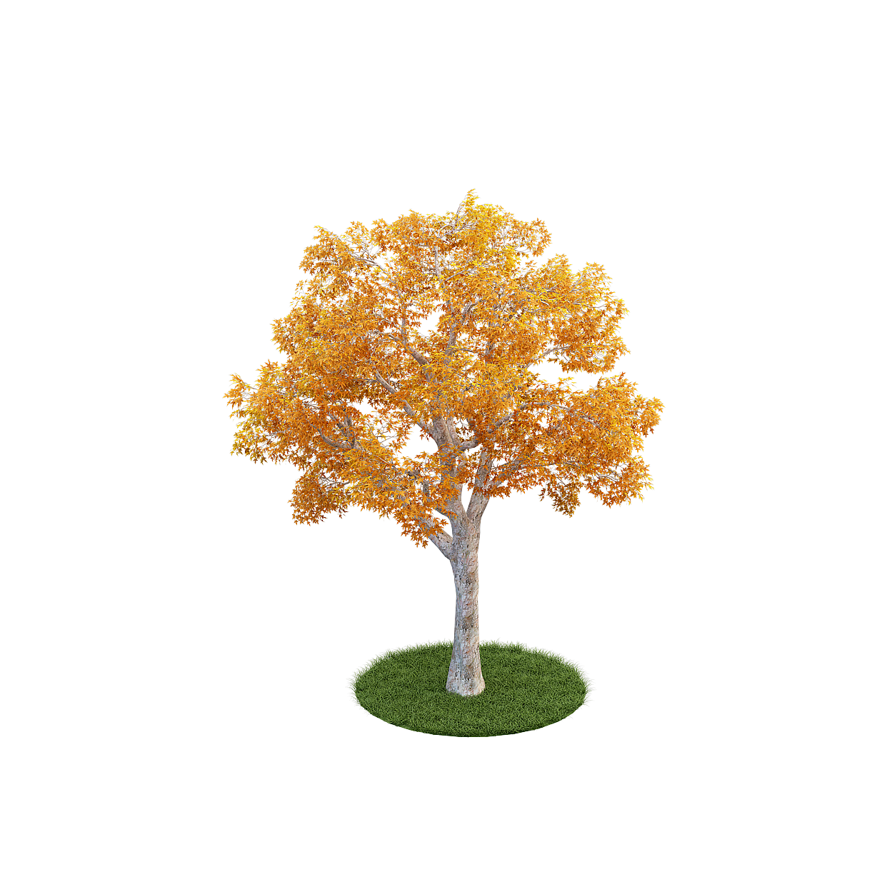 Coastal Trees 3D Model – Beige Natural Foliage