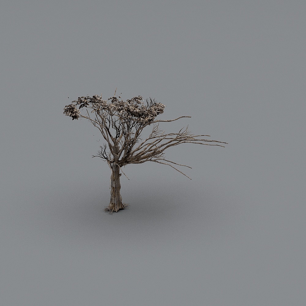 Area bar d'acqua di casa Wind Naturale - Alberi