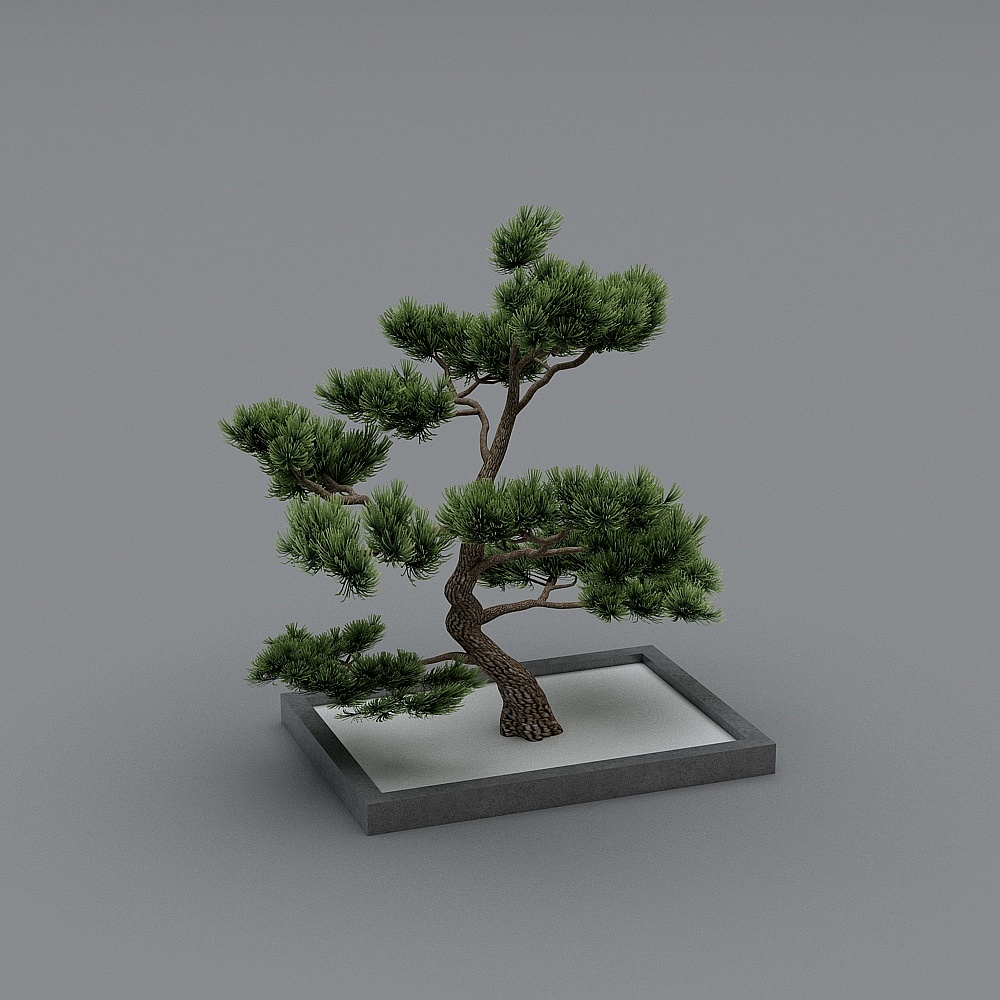 일본식 호텔 중정 - 나무